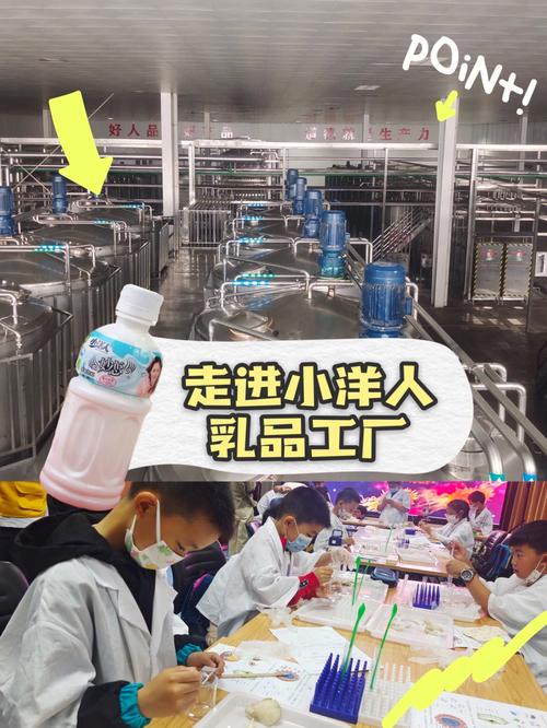南京带娃走进小洋人乳品工厂看看菌的世界